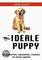 IDEALE PUPPY, DE 9789038911229 Gwen Bailey, Verzenden, Gelezen, Gwen Bailey