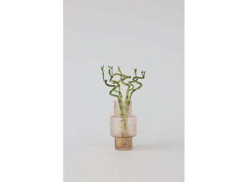 Lucky Bamboo stems - set of 6, Huis en Inrichting, Kamerplanten, Verzenden