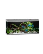 Juwel Rio 450 LED | 450L | 151 x 51 x 66CM Grijs, Nieuw, Ophalen of Verzenden
