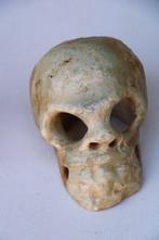 doodshoofd van speksteen Schedel - menselijke schedel, Antiek en Kunst