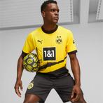 Borussia Dortmund Thuis Shirt Senior 2023/2024, Nieuw, Algemeen, Maat 48/50 (M), Puma
