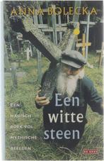 WITTE STEEN, Ophalen of Verzenden, Nieuw