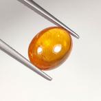 Zonder minimumprijs Granaat - 6.02 ct - nternational Colored, Nieuw