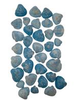 White Chippy Schelpen Blauw 500 gram, Ophalen of Verzenden, Nieuw