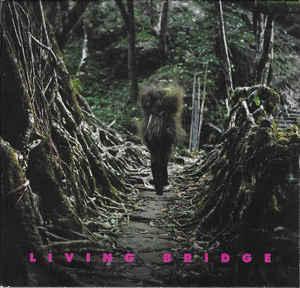 cd digi - Various - Living Bridge, Cd's en Dvd's, Cd's | Rock, Zo goed als nieuw, Verzenden