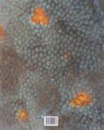 Vis & seizoen 4 Juli-Augustus Plat en rond 9789078491033, Verzenden, Zo goed als nieuw, N. Koreman