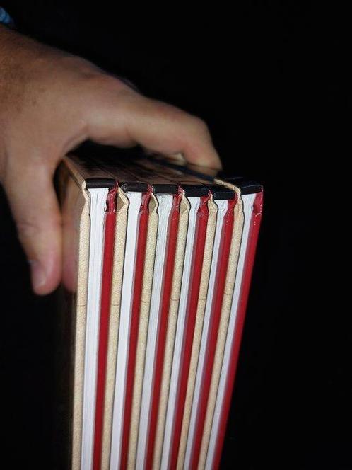 Les Reines de sang - Aliénor T1 à T6 - Série complète - 6x C, Boeken, Stripboeken
