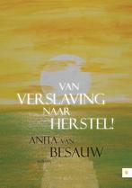 Van verslaving naar herstel! 9789048429356 Anita van Besauw, Boeken, Verzenden, Gelezen, Anita van Besauw