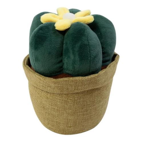 deurstopper plant cactus h23, Huis en Inrichting, Woonaccessoires | Overige, Verzenden