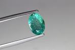Smaragd - 1.44 ct - International Gemological Institute, Sieraden, Tassen en Uiterlijk, Edelstenen, Nieuw