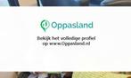 Roja zoekt een oppas in Gorinchem voor 1 kind op maandag.