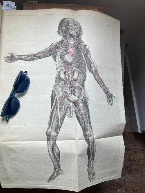 Justus Christian Loder - Anatomische Tafeln zur Beförderung, Antiek en Kunst, Antiek | Boeken en Bijbels