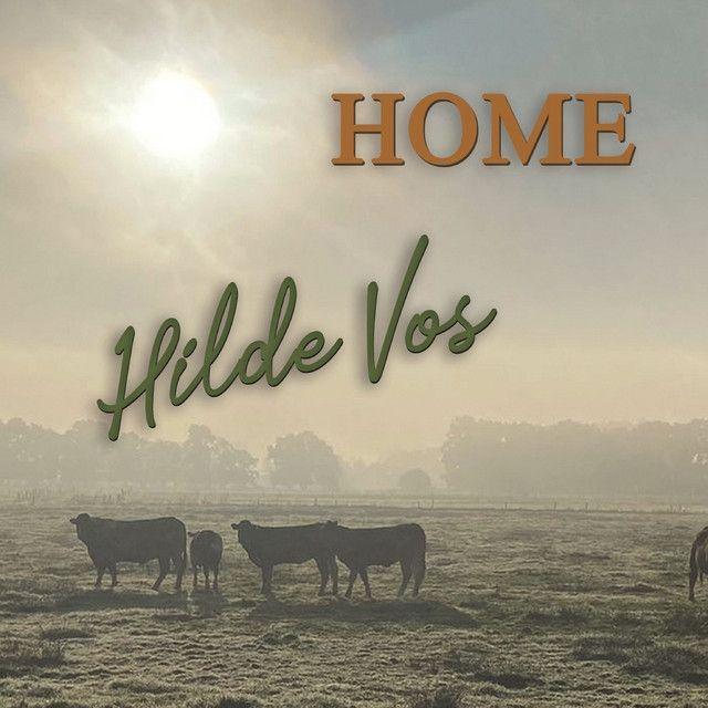 Hilde Vos - Home - CD, Cd's en Dvd's, Cd's | Overige Cd's, Ophalen of Verzenden