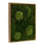 Vintlux Mosschilderij Lappenmos-Bolmos 60x60 cm Eikenhout -, Huis en Inrichting, Nieuw