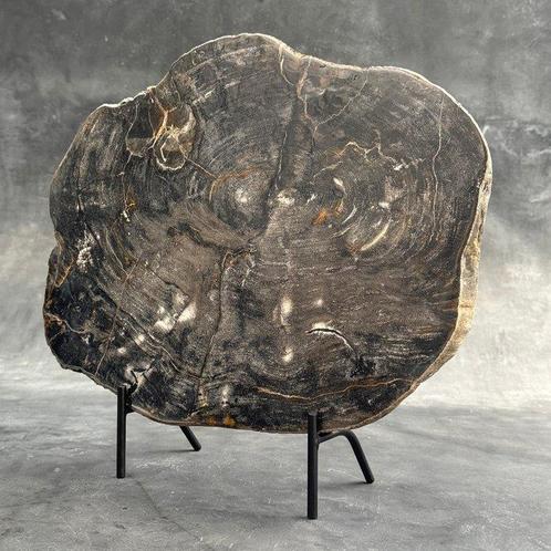 -C- Prachtig stuk versteend hout op een aangepaste standaard, Antiek en Kunst, Kunst | Designobjecten