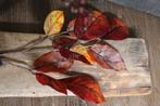 Namaak herfst bladeren op tak Brown, Nieuw, Ophalen of Verzenden