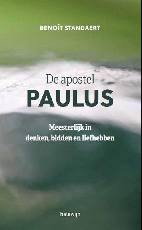 Boek De apostel Paulus 9789085284185, Boeken, Filosofie, Zo goed als nieuw, Verzenden