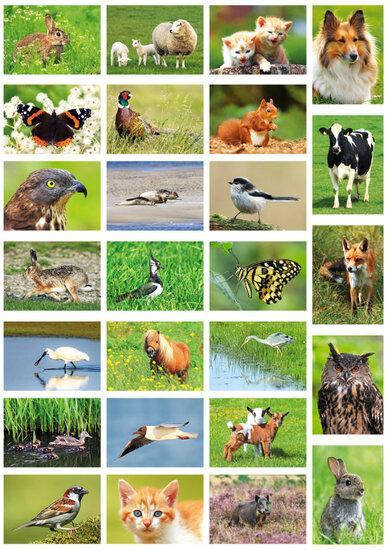 dieren kaarten - set met 24 dierenmotief ansichtkaarten (..., Verzamelen, Ansichtkaarten | Dieren, Verzenden