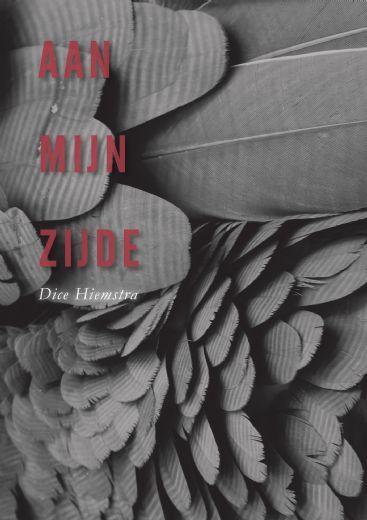 Aan mijn zijde 9789402244045 Dice Hiemstra, Boeken, Esoterie en Spiritualiteit, Gelezen, Verzenden