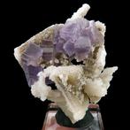 Fluoriet op kwartsbreccie - Mijn La Collada, Asturië, Spanje