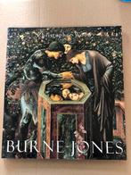 Pre-Rafaeliet en Aesthetic Movement - Edward Burne-Jones, Ophalen of Verzenden, Zo goed als nieuw, Schilder- en Tekenkunst