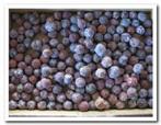 Estrelinia los +/-1000 gr Estrelina los p, Ophalen of Verzenden, Nieuw