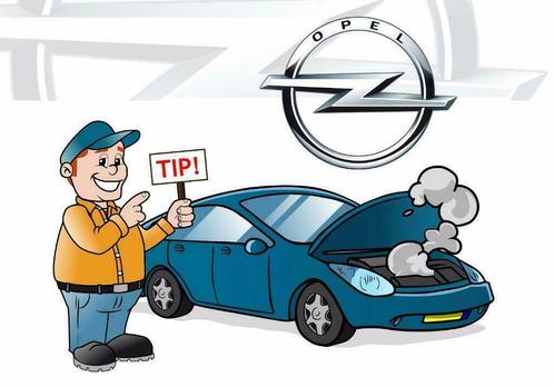 Opel: Bekijk alle OBD / OBD2 systemen bij Smeets Solutions, Auto diversen, Overige Auto diversen, Verzenden