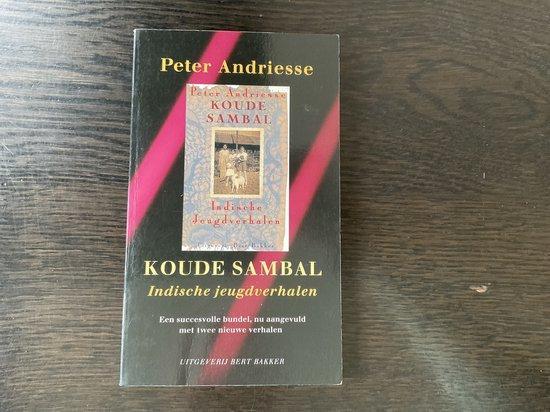 KOUDE SAMBAL (POCKET) 9789035109919 Andriesse, Boeken, Romans, Gelezen, Verzenden