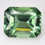 1 pcs Groen Apatiet - 5.83 ct - International Gemological, Sieraden, Tassen en Uiterlijk, Edelstenen, Nieuw