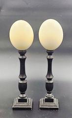 Struisvogel Ei - struthio camelus ei Ostrich egg - 480 mm -, Nieuw