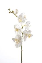 Emerald - Phalaenopsistak - Orchidee - Kunstbloem - 75 cm -, Nieuw, Verzenden