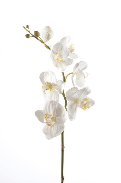 Emerald - Phalaenopsistak - Orchidee - Kunstbloem - 75 cm -, Huis en Inrichting, Woonaccessoires | Overige, Verzenden