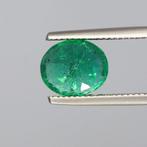 Smaragd - 3.25 ct - Asian Institute of Gemological Sciences, Sieraden, Tassen en Uiterlijk, Edelstenen, Nieuw