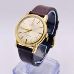 Omega - Seamaster [Perle Vintage] Crosshair Dial - 165.003, Sieraden, Tassen en Uiterlijk, Horloges | Heren, Nieuw