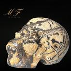 Prachtige skull en Jaspe afbeelding van groot formaat.