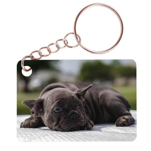 Sleutelhanger 6x4cm - Franse Bulldog Pup op Kleed NIEUW, Verzamelen, Sleutelhangers, Ophalen of Verzenden