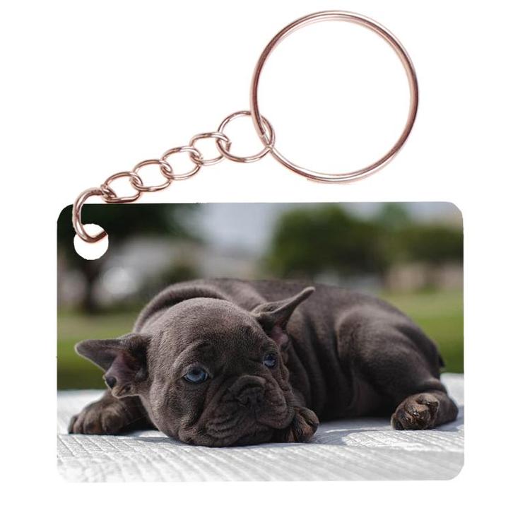 Sleutelhanger 6x4cm - Franse Bulldog Pup op Kleed NIEUW, Verzamelen, Sleutelhangers, Nieuw, Ophalen of Verzenden