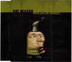 cd single - Ray Wilson - These Are The Changes, Cd's en Dvd's, Cd Singles, Zo goed als nieuw, Verzenden