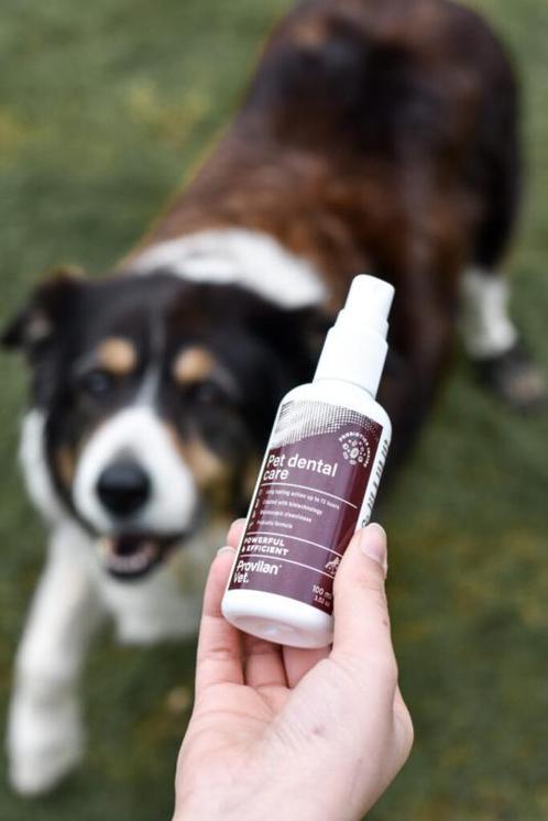 Probiotica voor gebitsverzorging voor huisdieren, Dieren en Toebehoren, Overige Dieren-accessoires, Nieuw, Ophalen of Verzenden