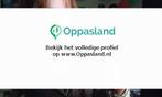 Ik ben Bo en ik zoek oppaswerk in Hilversum.