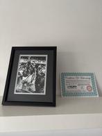 Équipe nationale du Brésil - Wereldkampioenschap Voetbal -, Nieuw