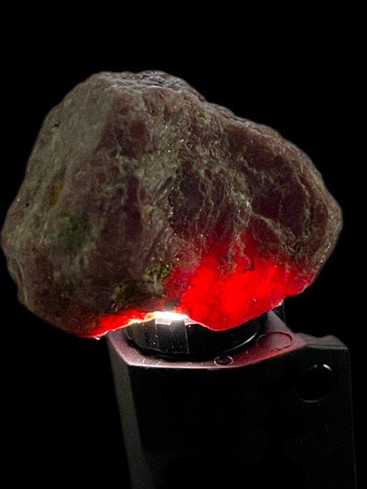 Robijn Ruw. Verbazingwekkende Mozambique Enorme Robijn, Verzamelen, Mineralen en Fossielen