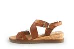 Gabor Sandalen in maat 39,5 Bruin | 10% extra korting, Kleding | Dames, Schoenen, Bruin, Verzenden, Gabor, Sandalen of Muiltjes