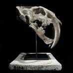 Geen verkoopprijs vastgelegd - Een replica van een, Antiek en Kunst, Kunst | Designobjecten