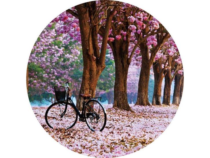 Glasschilderij Sakura bomen | S180, Huis en Inrichting, Woonaccessoires | Overige, Nieuw, Ophalen of Verzenden