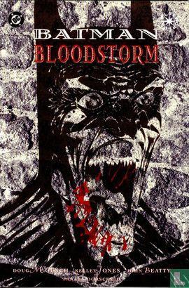 Batman - Bloodstorm - 1994, Boeken, Stripboeken, Zo goed als nieuw, Eén stripboek, Verzenden