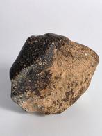 NWA 16179 - meteoriet HED achondriet (Eucriet) -