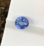1 pcs Blauw Saffier - 2.56 ct - nternational Colored, Sieraden, Tassen en Uiterlijk, Edelstenen, Nieuw