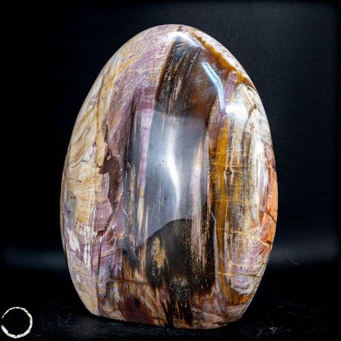 Vrije vorm van versteend hout handgepolijst- 1455.15 g, Verzamelen, Mineralen en Fossielen