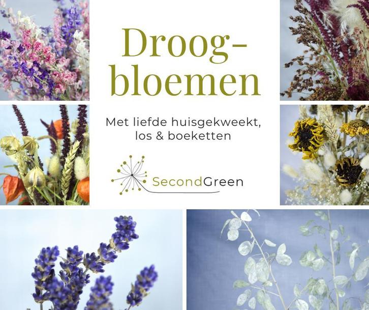 Droogbloemen, Droogboeketten, Krans en Meer, Huis en Inrichting, Woonaccessoires | Droogbloemen, Nieuw, Ophalen of Verzenden